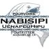 NABISIPI Logo