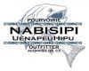 NABISIPI Logo