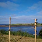 blue-sky-fence